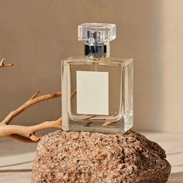 Customer Login Page Image